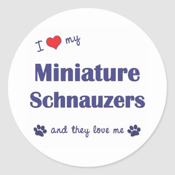 I Love My Miniature Schnauzers (Multiple Dogs) Classic Round Sticker