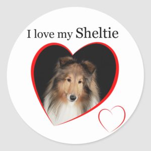 I Love my Sheltie #1 Classic Round Sticker