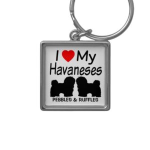 I Love My TWO Havanese Dogs Keychain