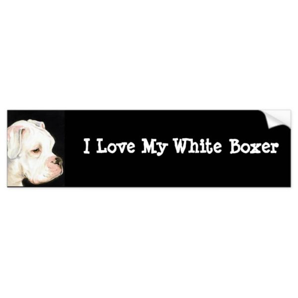 I Love My White Boxer Dog Art Bumper Sticker