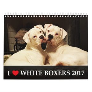 I Love White Boxers 2017 Calendar