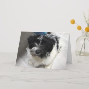 I Miss You - Havanese Puppy Card