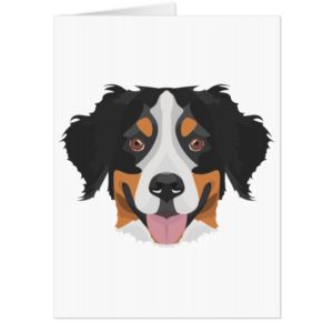 Illustration Bernese Mountain Dog Card