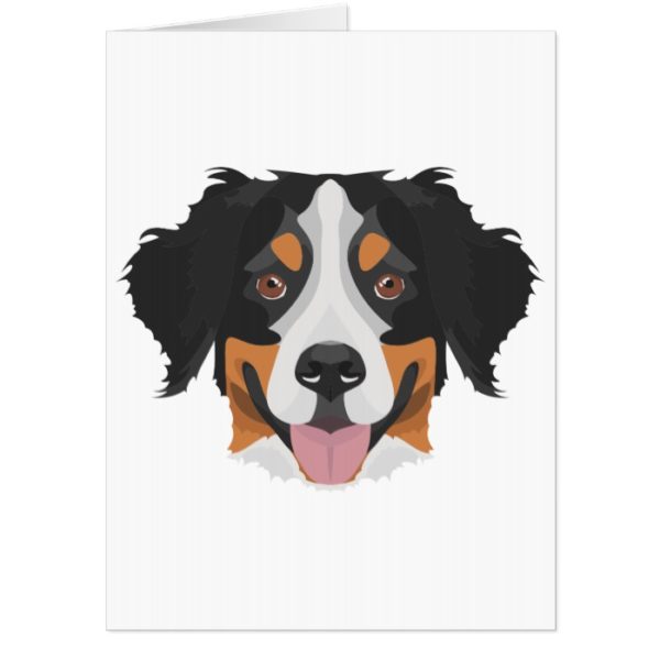 Illustration Bernese Mountain Dog Card