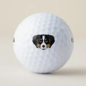 Illustration Bernese Mountain Dog Golf Balls