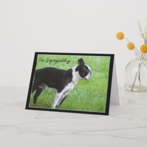In Sympathy Boston Terrier greeting card