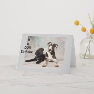 IT IS "OUR" BIRTHDAY-GREAT DAY! TWIN OR MUTUAL DAY CARD