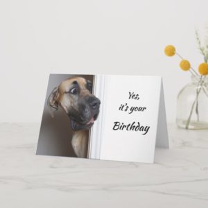 It's Your Birthday Fun Great Dane Dog Humor Card