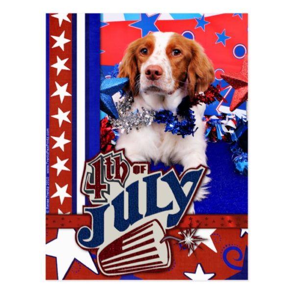 July 4th - Brittany Spaniel - Charlie Postcard
