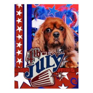 July 4th - Cavalier King Charles Spaniel - Cooper Postcard