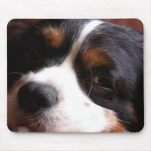 King Charles Cavalier Spaniel Mouse Pad