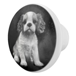 King Charles Spaniel cavalier  puppy Ceramic Knob