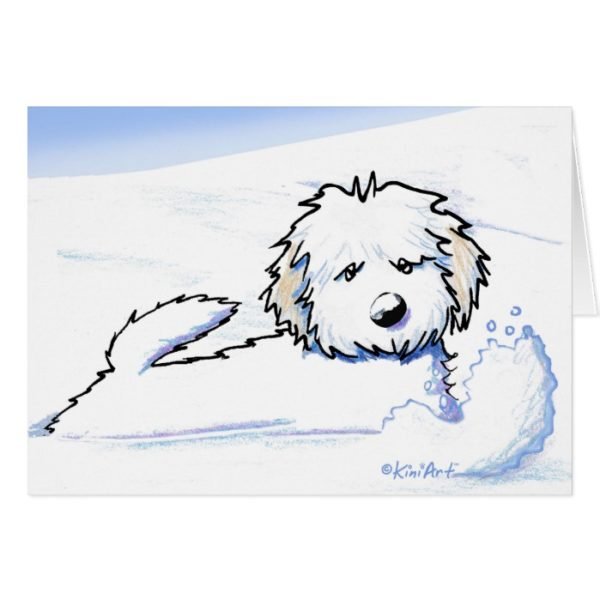 KiniArt Havanese Snow Plow Card