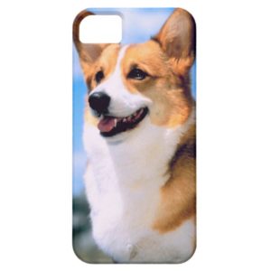 KRW Corgi Dog iPhone 5 Case