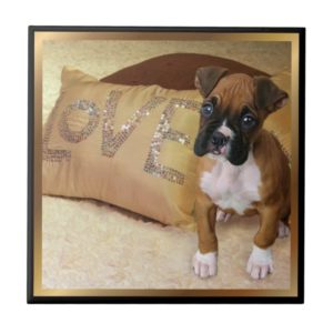 Love boxer dog Ceramic Tile