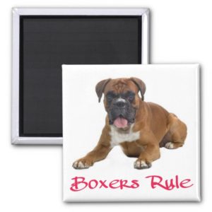 Love Boxer Puppy Dog Fridge Magnet