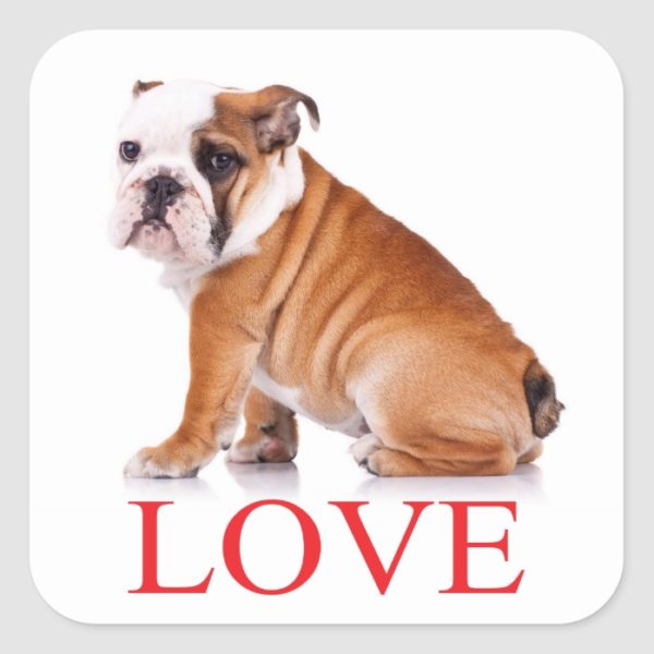 Love English Bulldog Puppy Dog Sticker / Seal