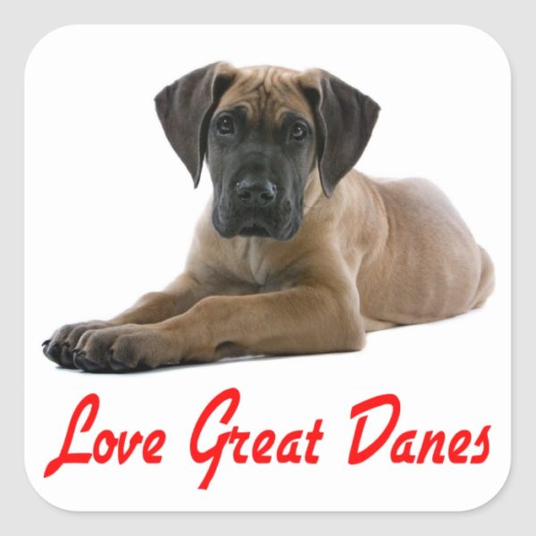 Love Great Dane Puppy Dog Sticker / Seal