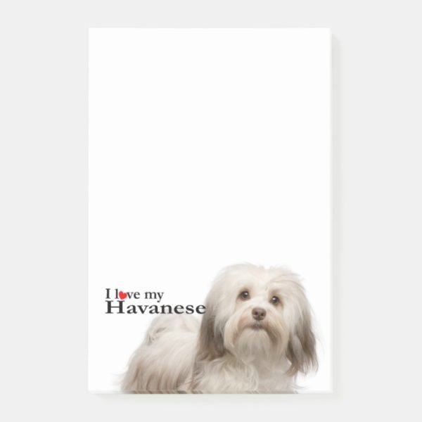 Love My Havanese Post-It Notes