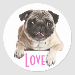 Love Pug Puppy Dog Greeting Stickers