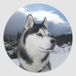 Love Siberian Husky Puppy Dog Greeting Stickers