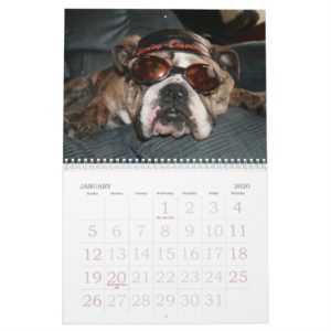 Love that Bulldog Calander Calendar