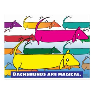 Magic Dachshunds Postcard