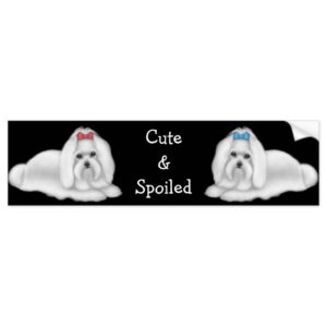 Maltese Cute & Spoiled Bumper Sticker