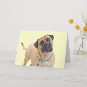 Mastiff Birthday Card by Focus for a Cause