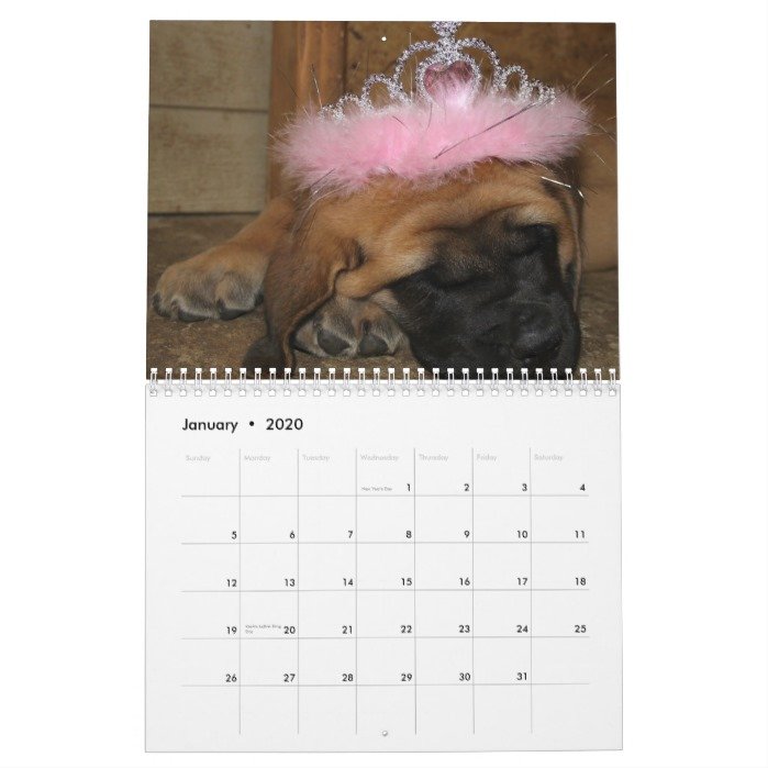 Mastiff calendar