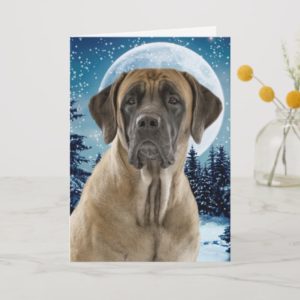 Mastiff Christmas Card