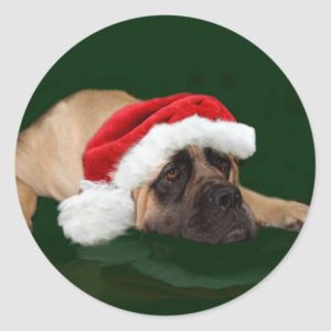 Mastiff in a Santa hat Classic Round Sticker