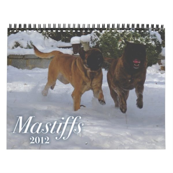 Mastiffs Calendar