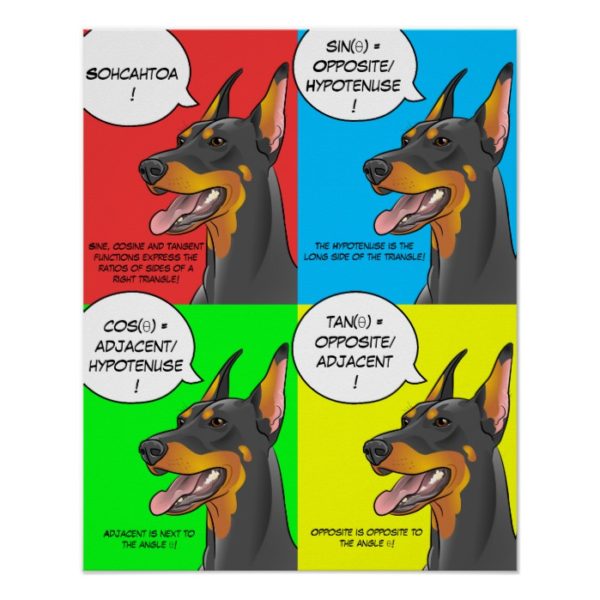 Math Dog Colorful Trigonometry Doberman Poster