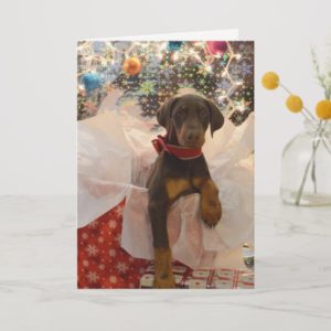 Merry Christmas Dobie Pup Holiday Card