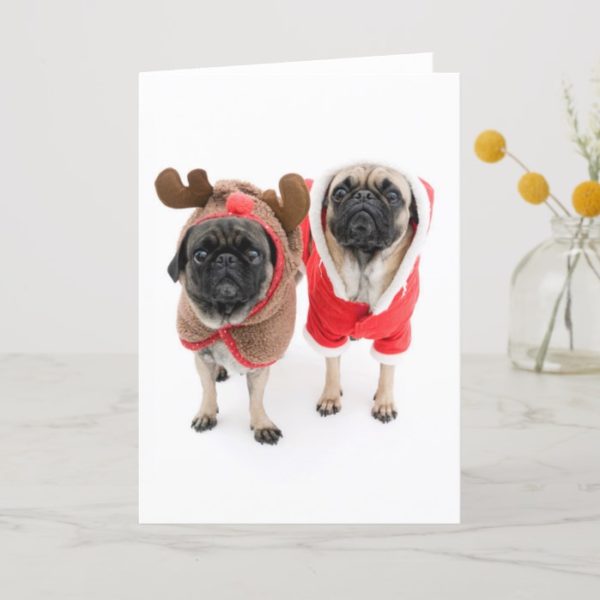 Merry Christmas from the Pugs Holiday Card