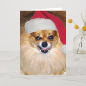 "Merry Woofing Christmas" Pomeranian Santa Card