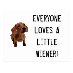 Mini Dachshund Little Wiener Postcard