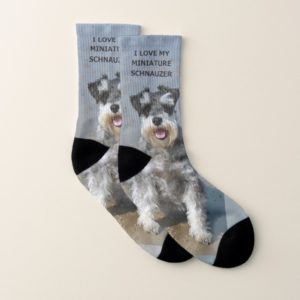 mini schnauzer-love w pic socks