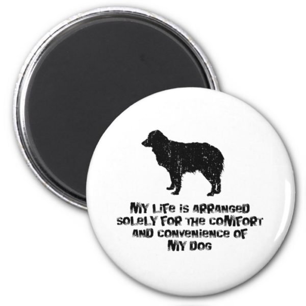 Miniature Australian Shepherd Magnet