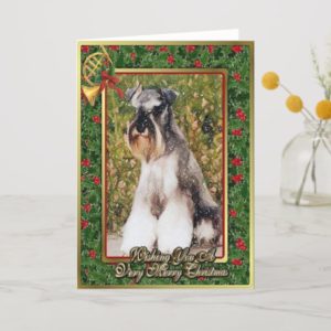 Miniature Schnauzer Dog Blank Christmas Card