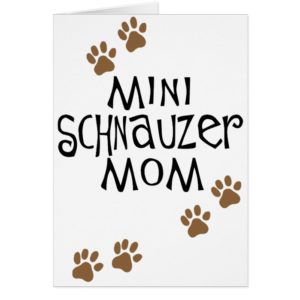 Miniature Schnauzer Mom
