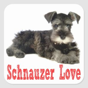 Miniature Schnauzer Puppy Dog Love Red Sticker