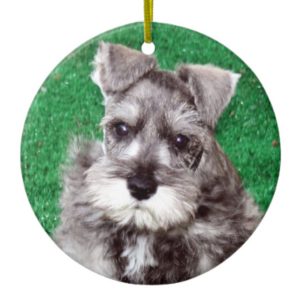 Miniature Schnauzer Puppy Dog Ornament