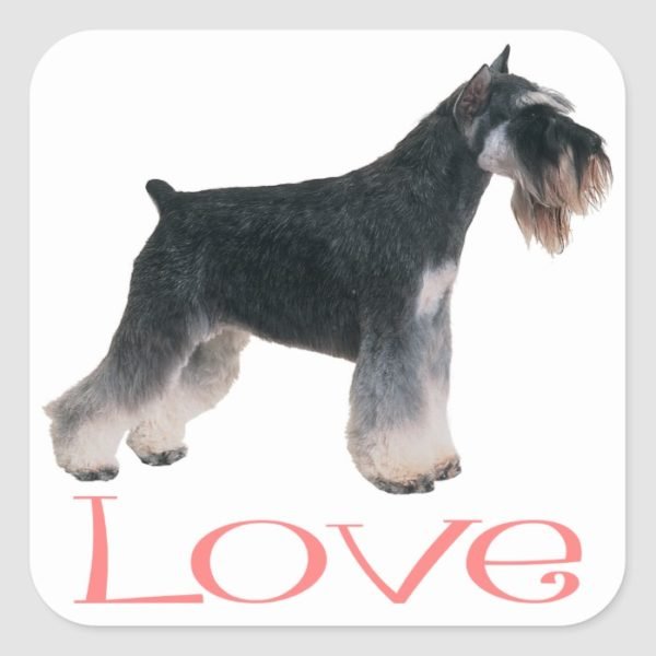 Miniature Schnauzer Puppy Dog Pink Love Sticker