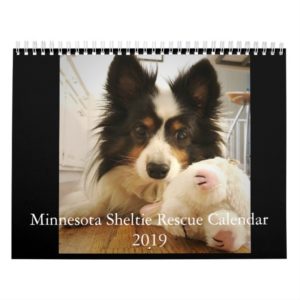Minnesota Sheltie Rescue Calendar 2019