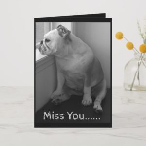 Miss You Greeting Card-Sad Bulldog Card