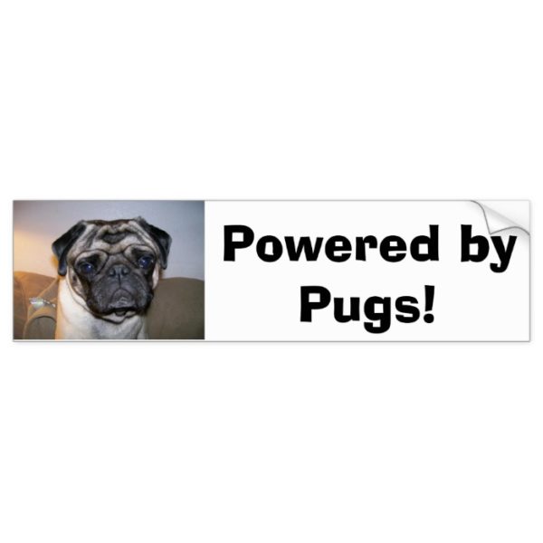 mr nibbles, Powered by Pugs! Bumper Sticker