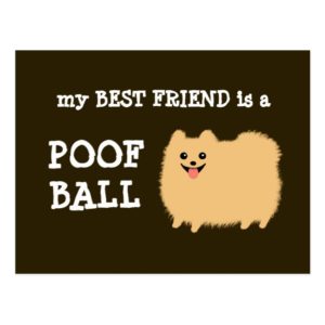 My Best Friend is a Poof Ball - Funny Pom Cartoon Postcard