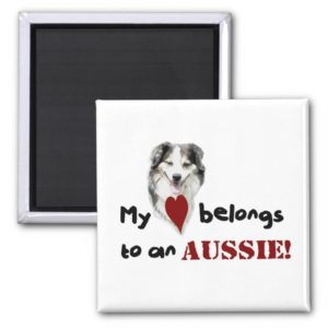 My heart belongs to an Aussie! Magnet